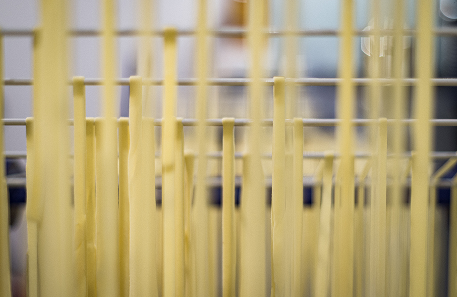 Image, Les linguine s'accrochent aux fils de linge pour sécher.